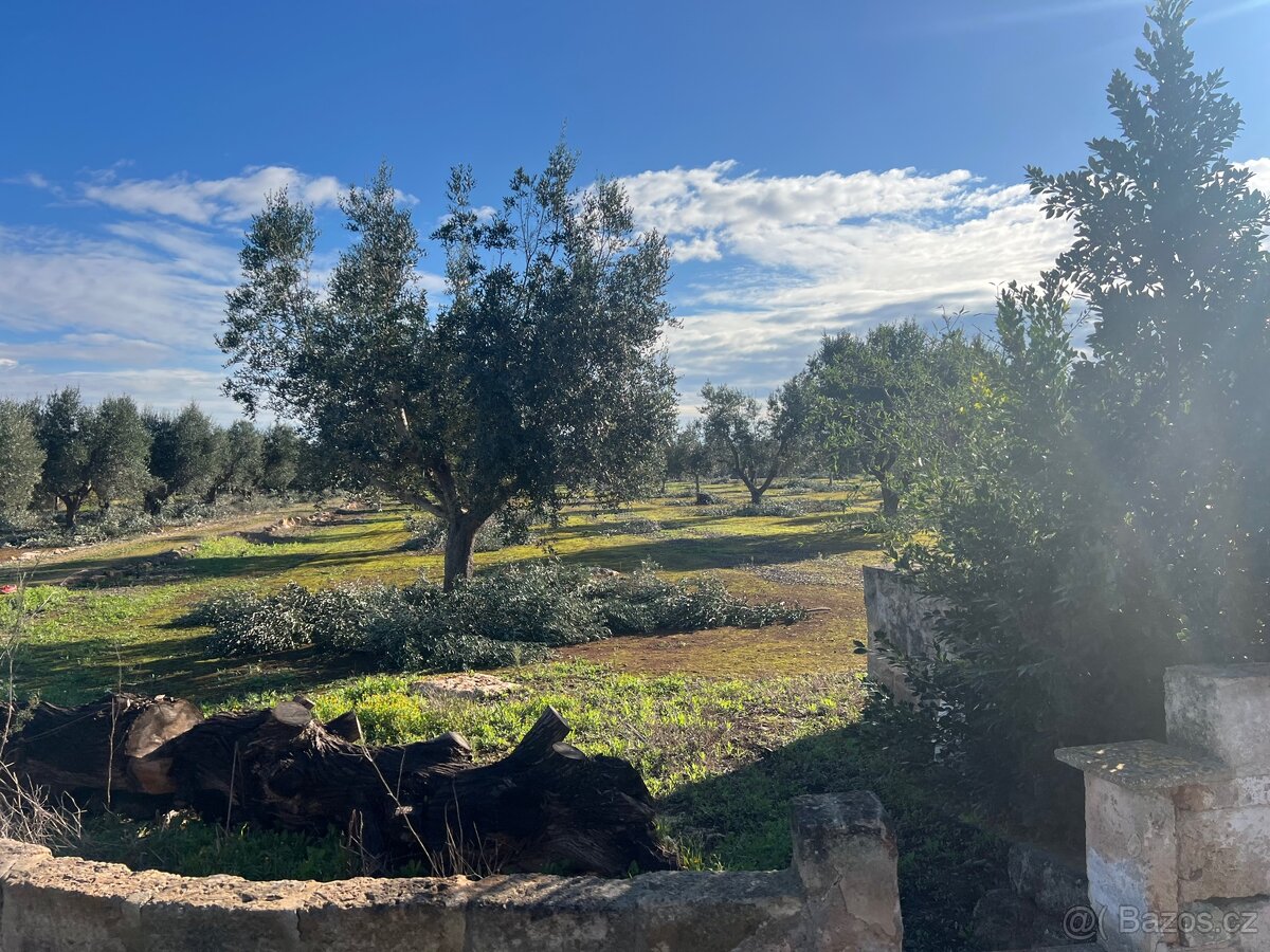 Stavebni pozemek 12.000m2 u moře🇮🇹 - 12