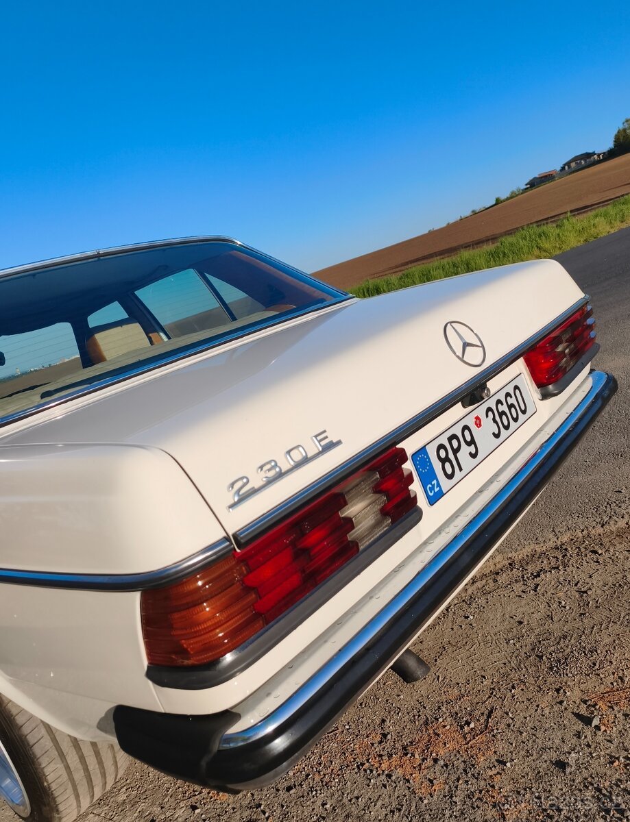 W123 230E Piano - 12