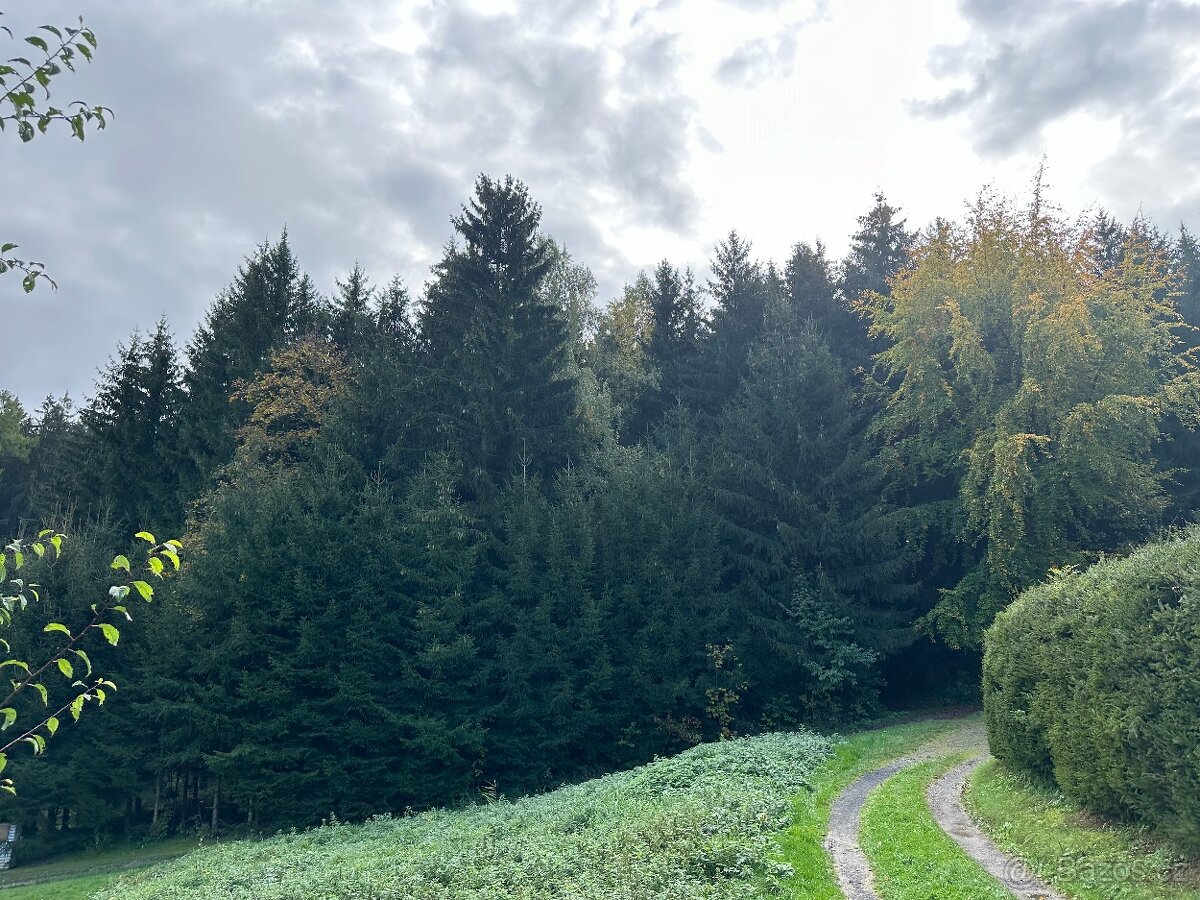 Chata - Řetová - Mandl - 12