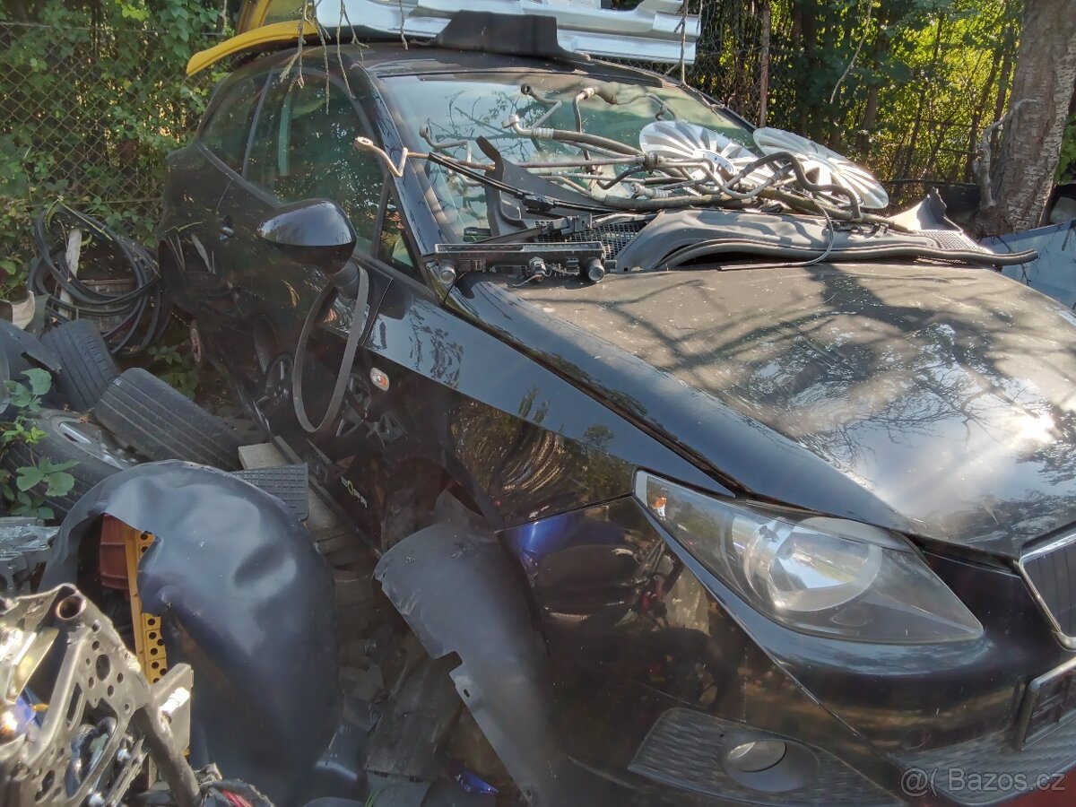 Ibiza IV, 1,2 CFWA, nafta - 12