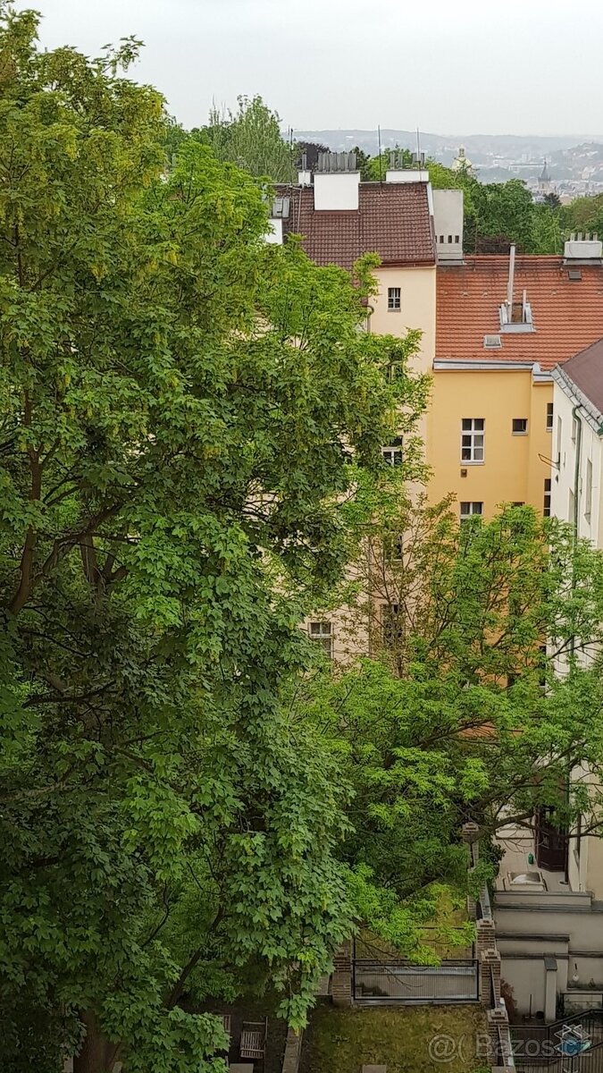 Byt Praha 3 s výhledem na Hradčany - 12