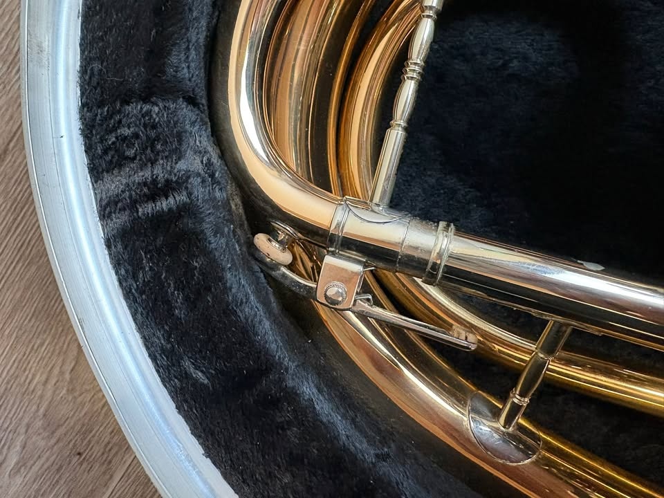 Baryton baskřídlovka V.F. Červený - 12