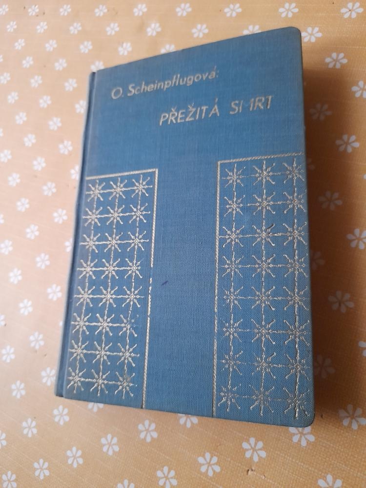 BARUNKA-DIVÁ BÁRA- DÍVKY TEPANÉ ZE STŘÍBRA-POHÁDKY - 12