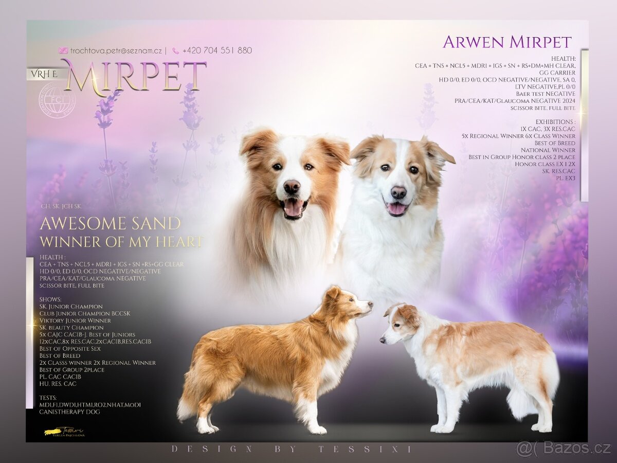 Border Kolie S PP - 12