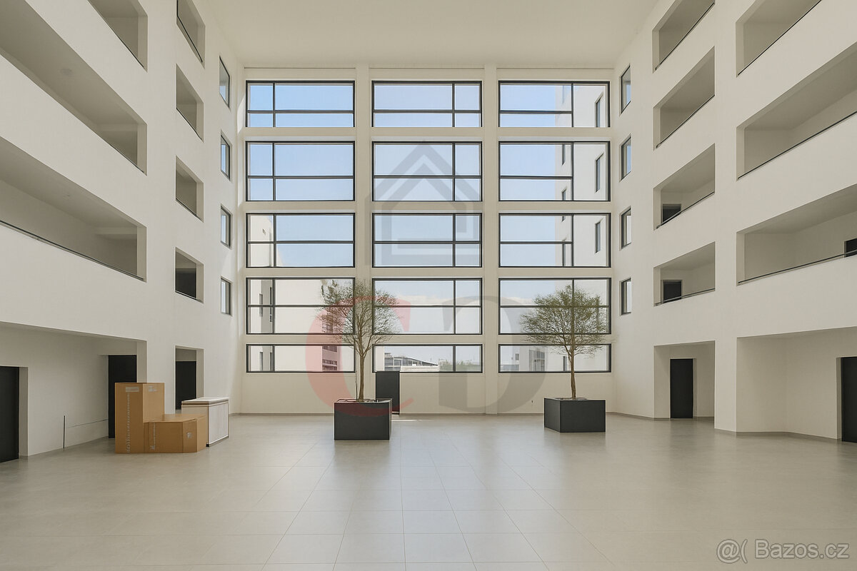 Pronájem bytu 3+KK, Plzeň - 12