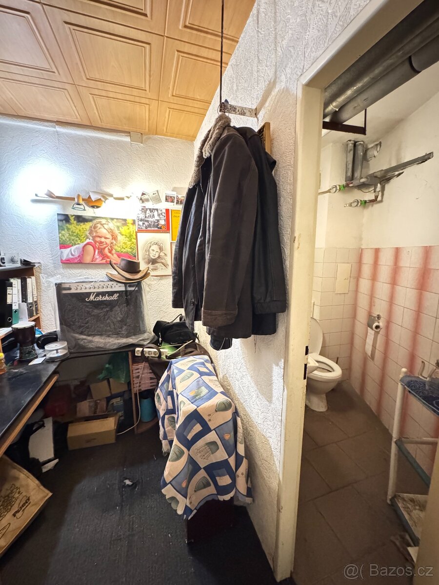 Prodej obchodních prostor - 12