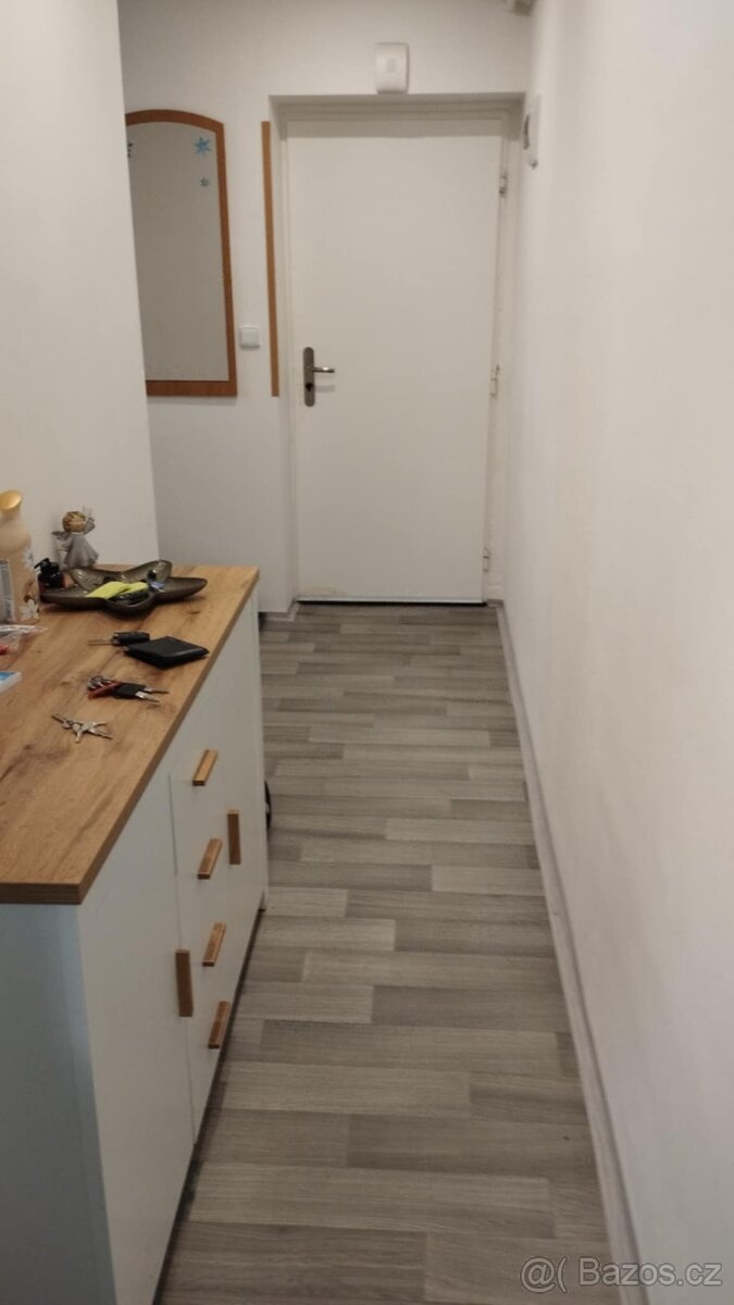 Pronajmu byt 2+1 v Bílovci - 12