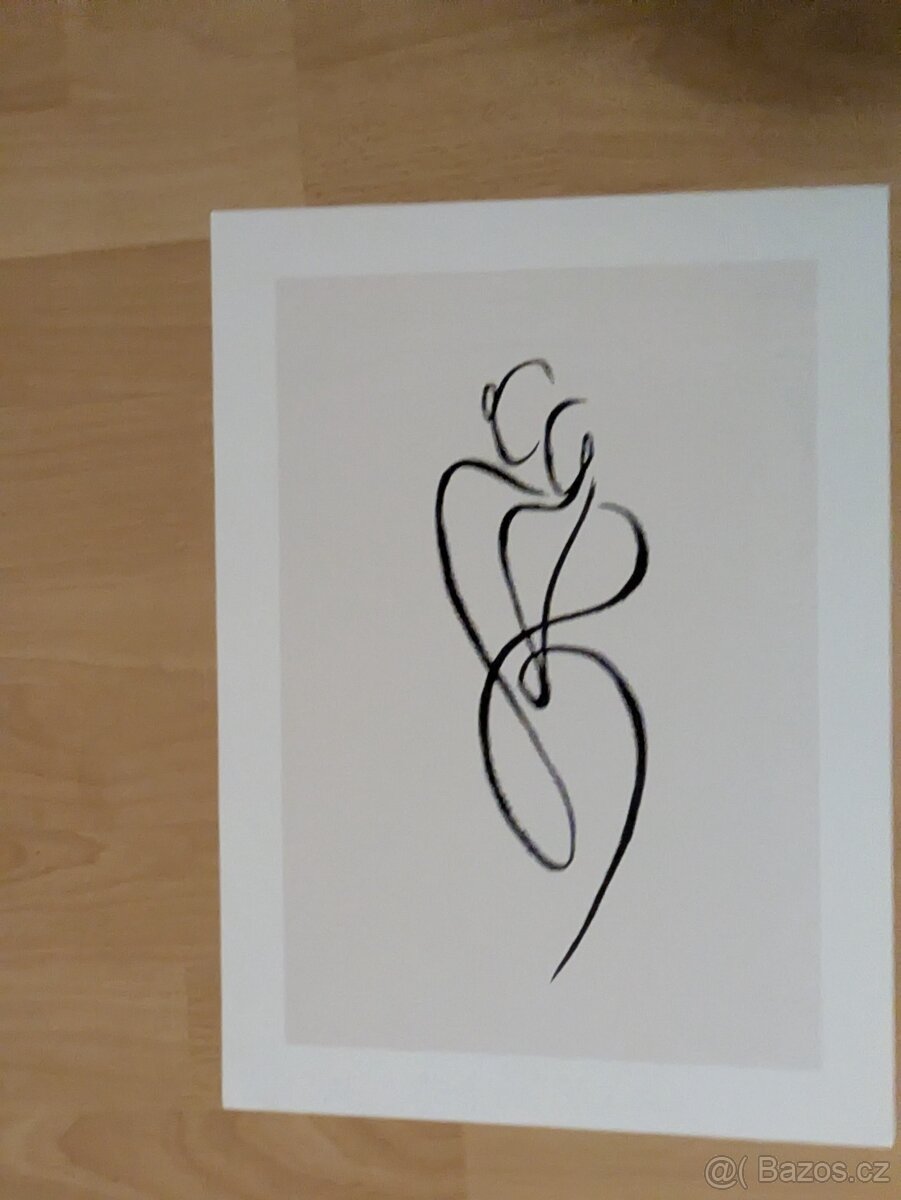 Prodám obrazy (plakáty) - 30 x 40 cm - 12