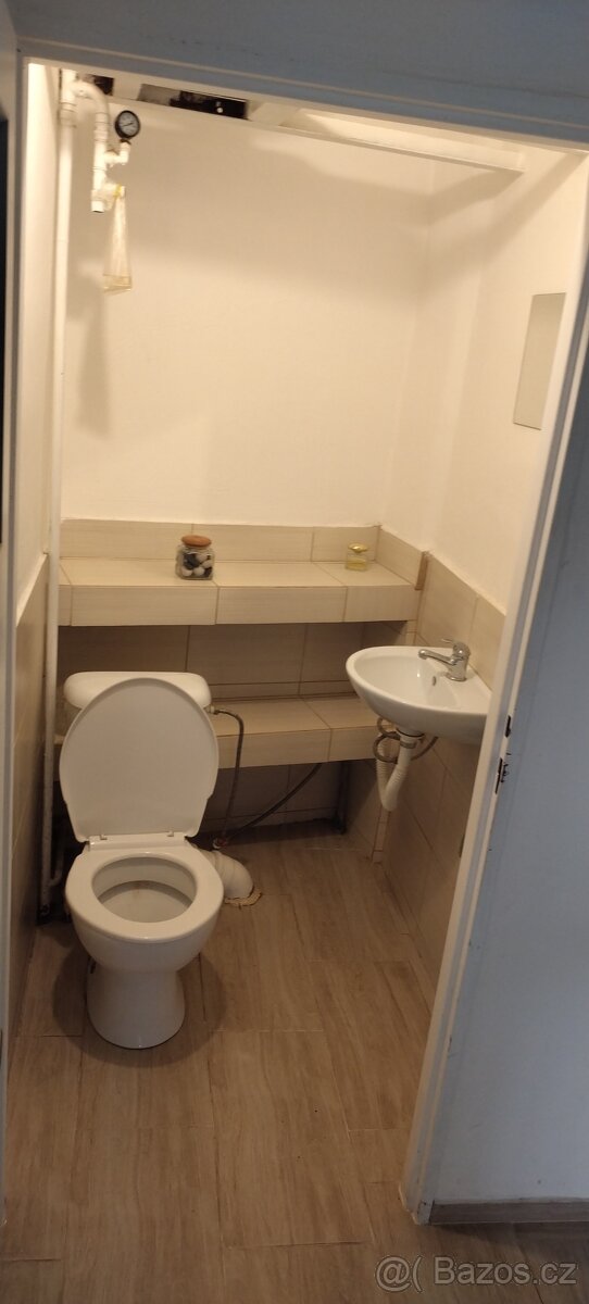 Rodinný dům se zahradou - 12