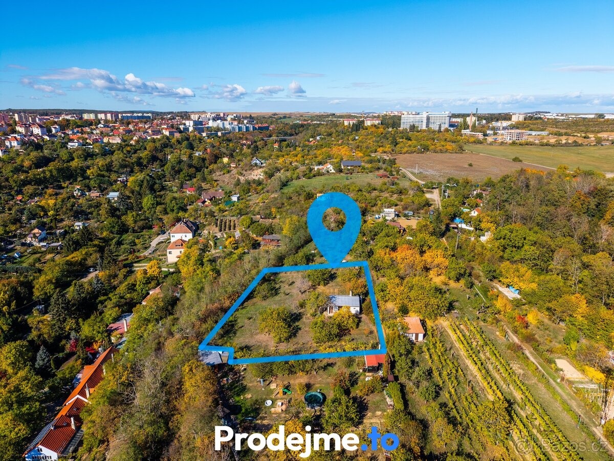 Ostatní