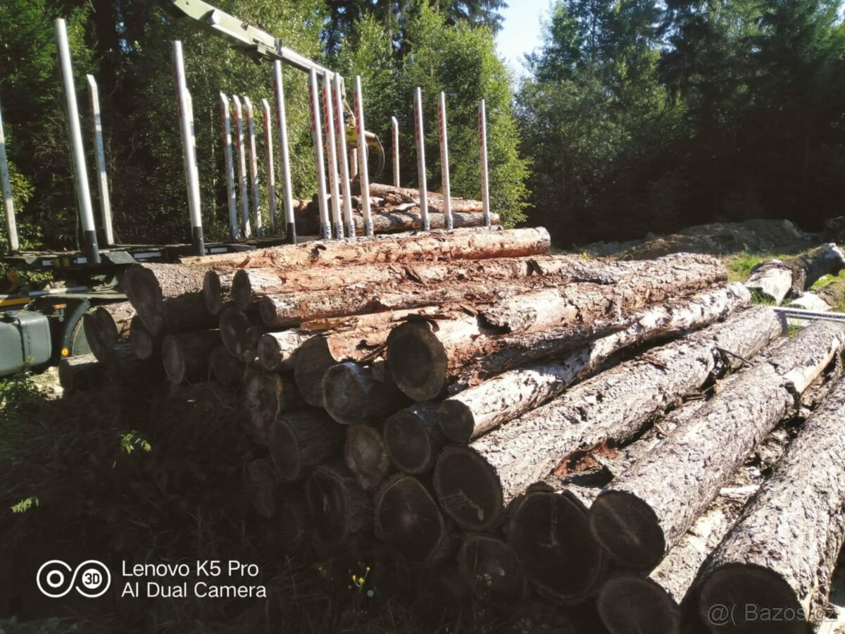 Kmenová pásová pila. - 12