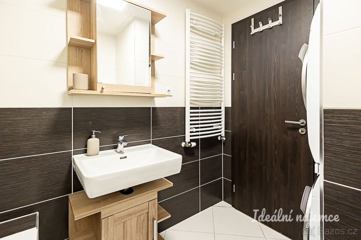 Pronájem bytu 2kk 55m2 - 12