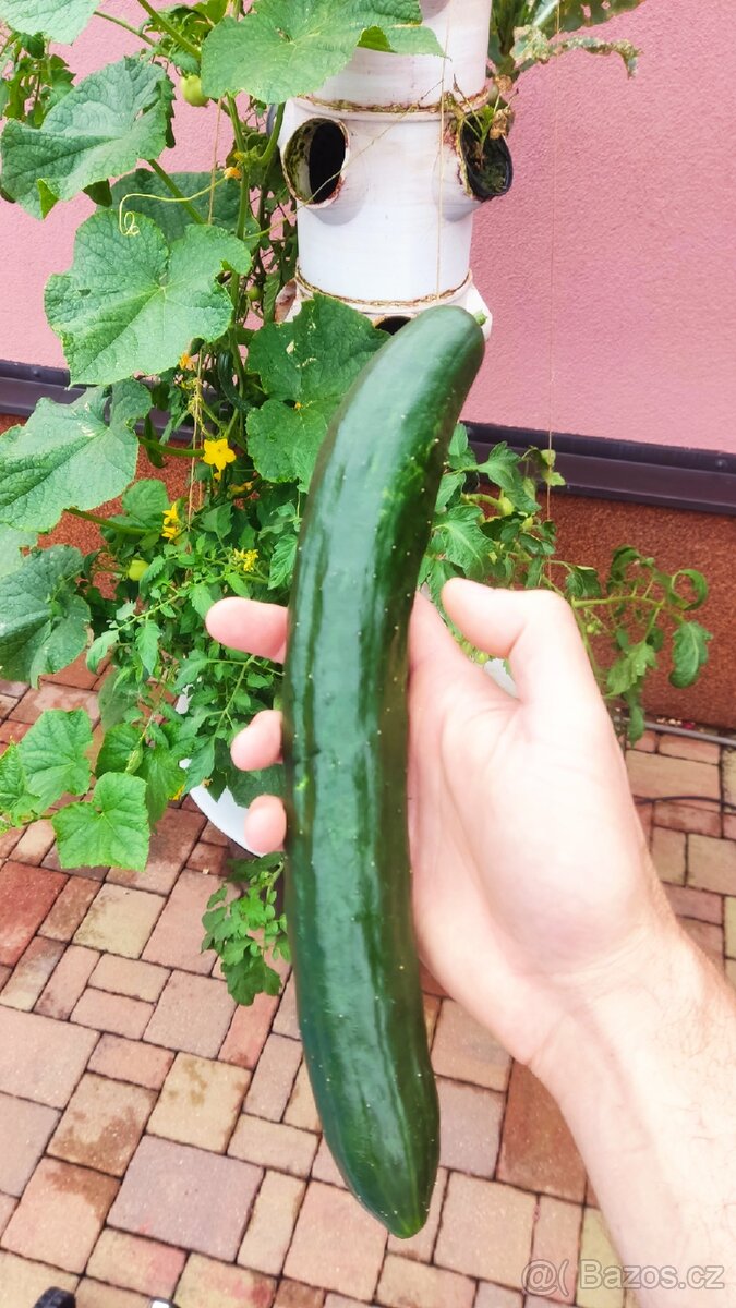 Hydroponicka věž - 7 pater - 12