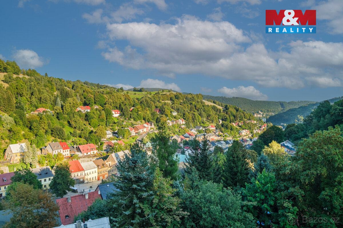 Prodej bytu 1+kk, 36 m², Jáchymov, ul. K Lanovce - 12