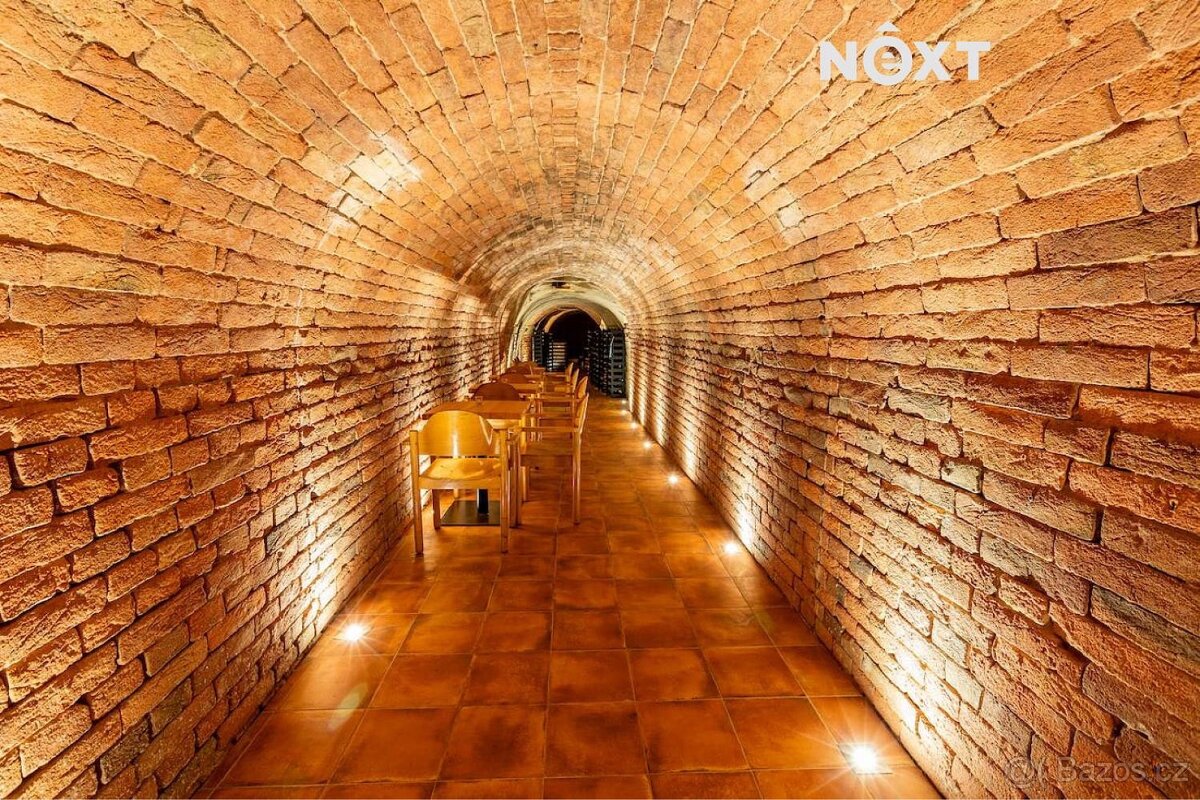 Vinný sklípek - penzion podnikání - 12