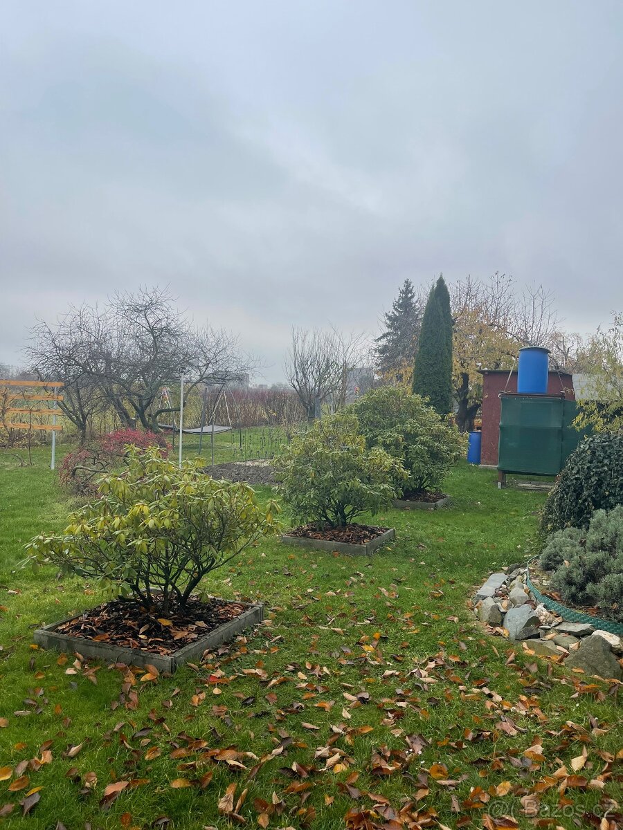 Zahrada - 12