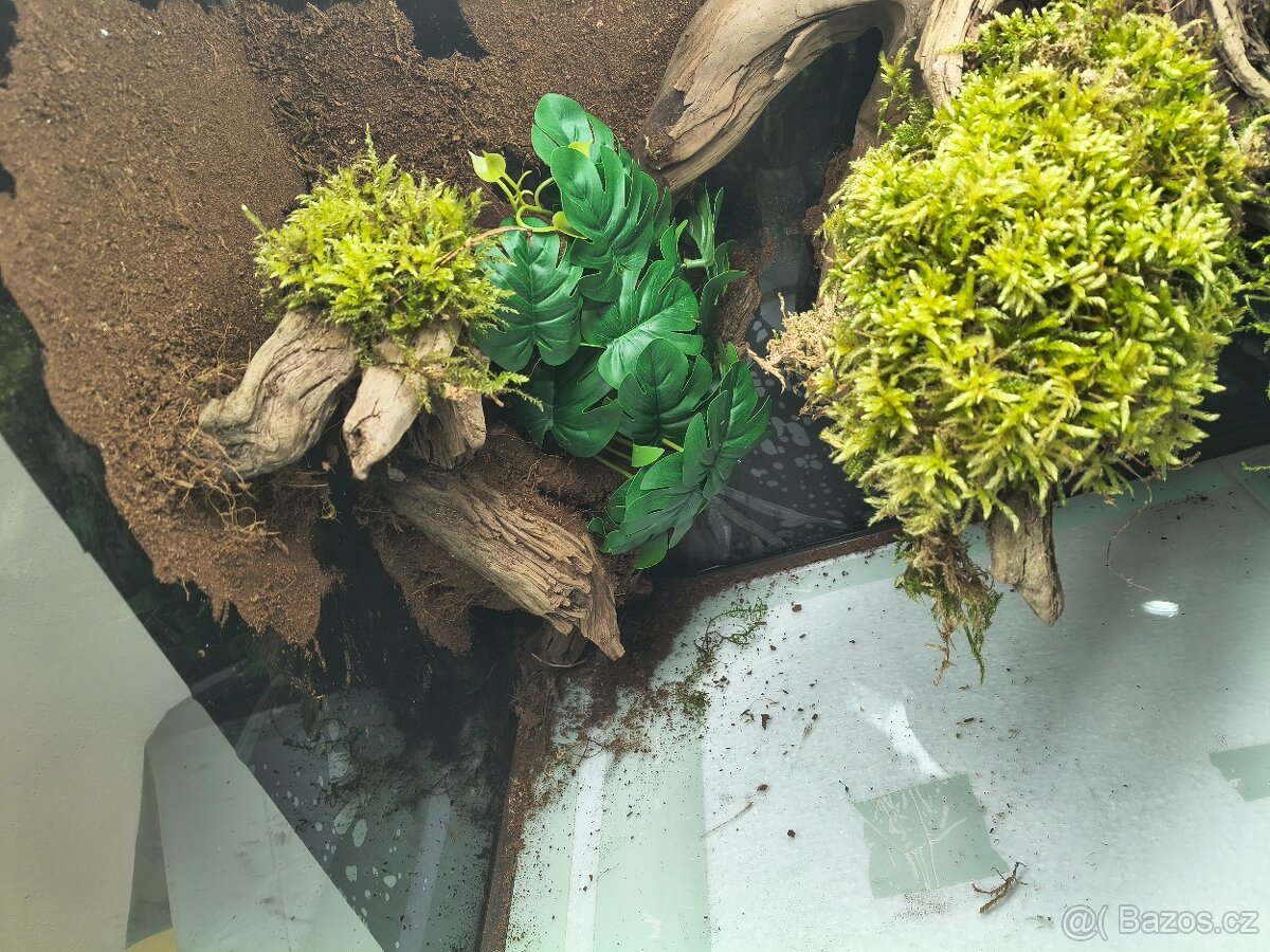 Terárium velké 60x45x45 - 12