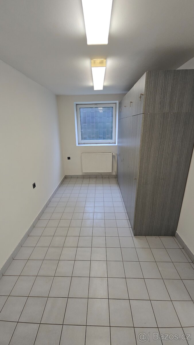 Pronájem zatepleného skladového prostoru (400-1246 m²) u D1 - 12