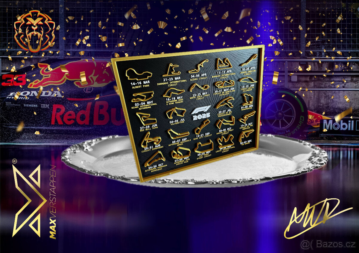 Max Verstappen 2021 World Champion Red Bull F1 RB16B Abu Dha - 12