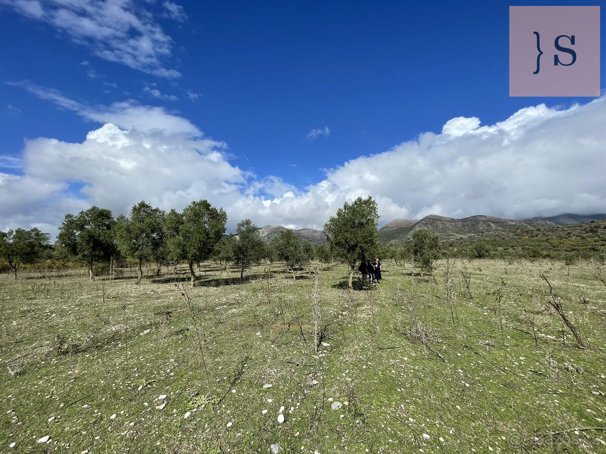 Prodej, pozemek, 4 000 m, , , Česko - 12
