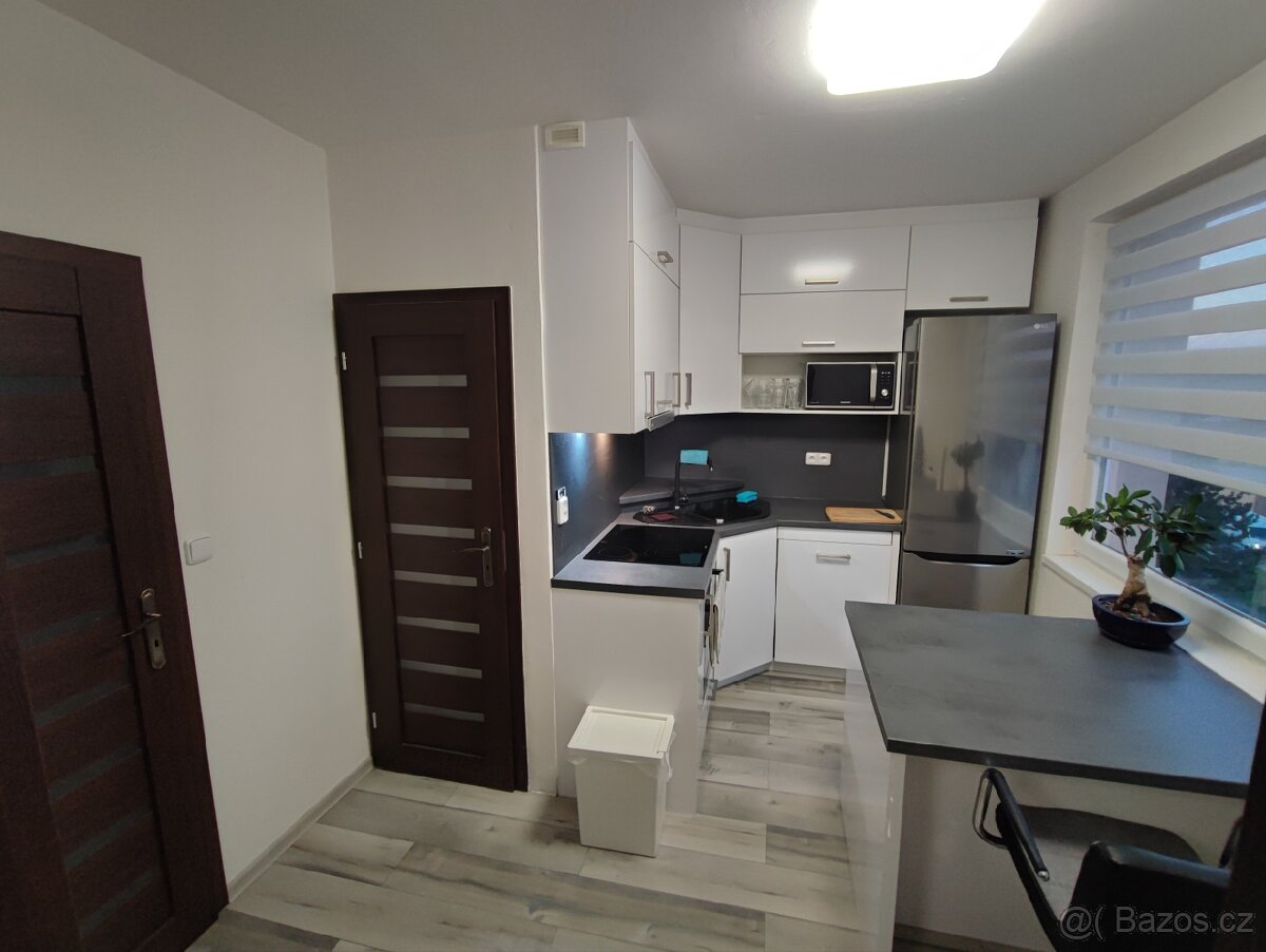 Prodám byt 1+1, 30,50m2 v obci Práče - 12