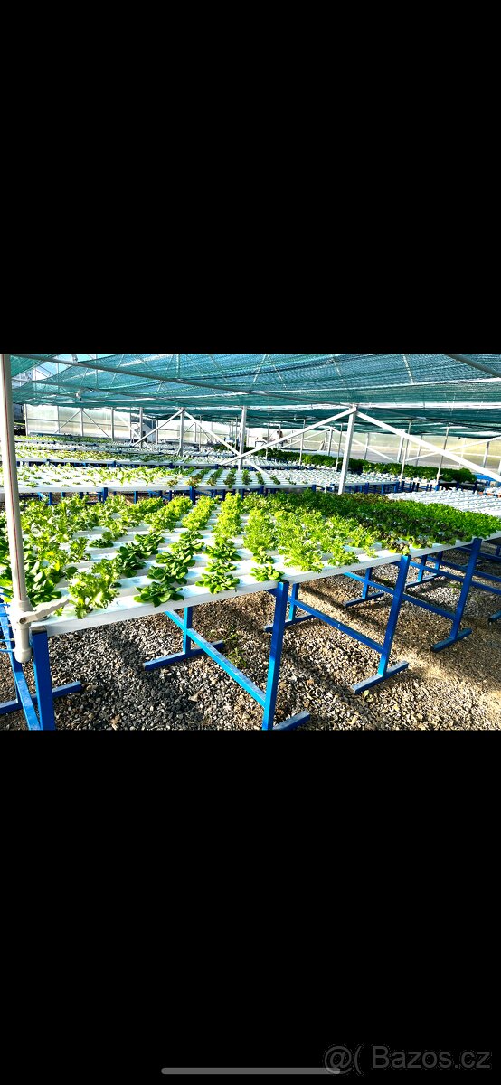 Hydroponie-aquaponie - 12