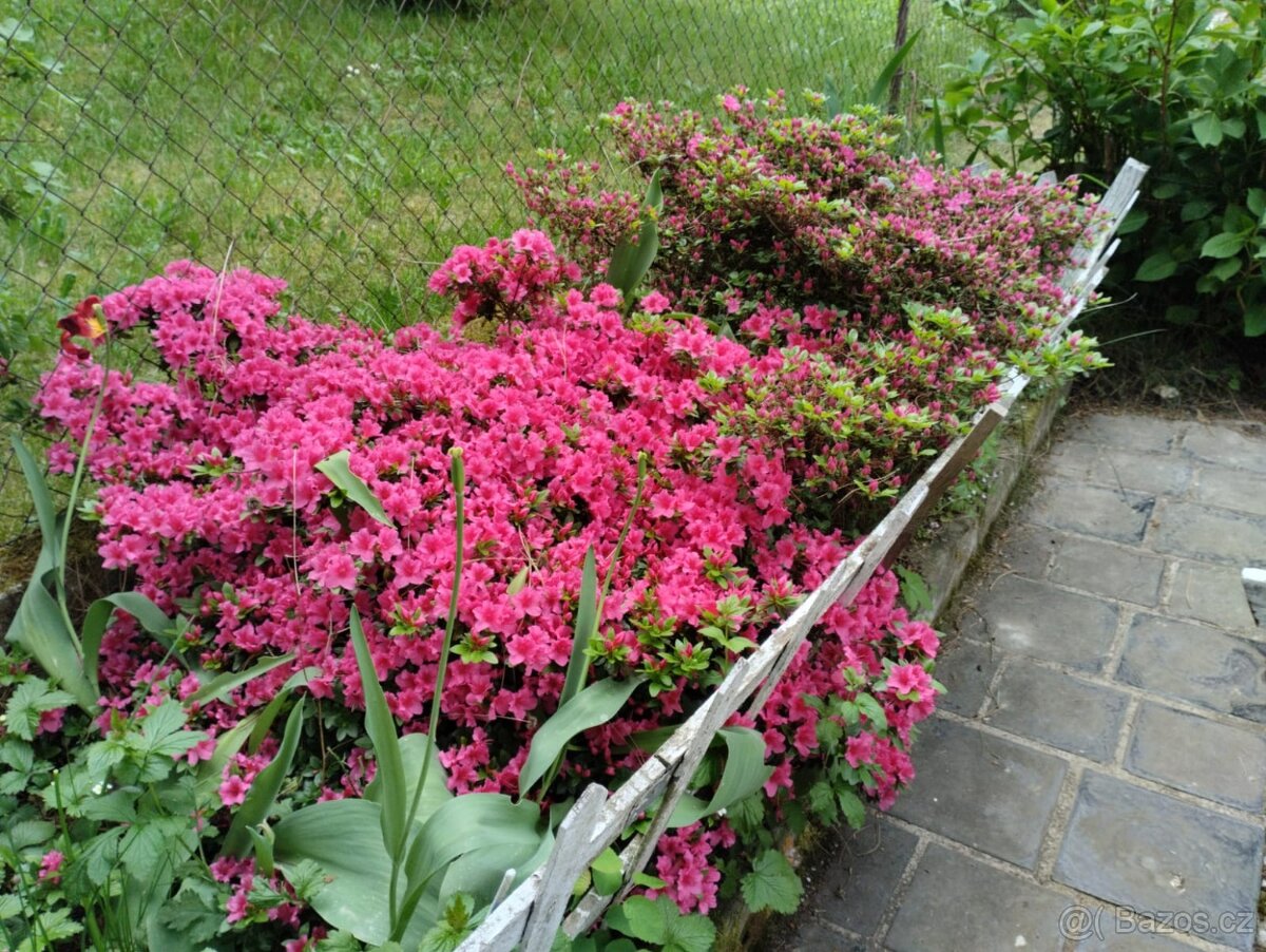 Celoroční obyvatelná chata - 12