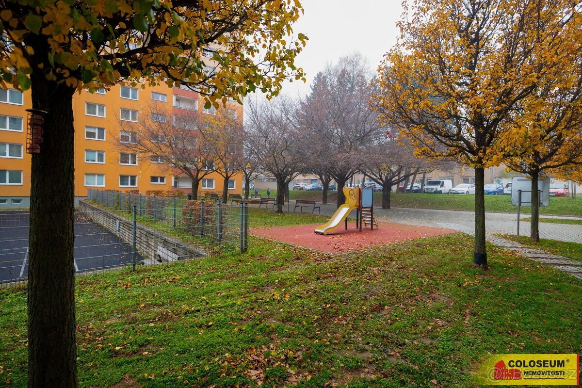 Brno - Královo Pole, byt OV 1+1, sklepní kóje, lodžie, inves - 12