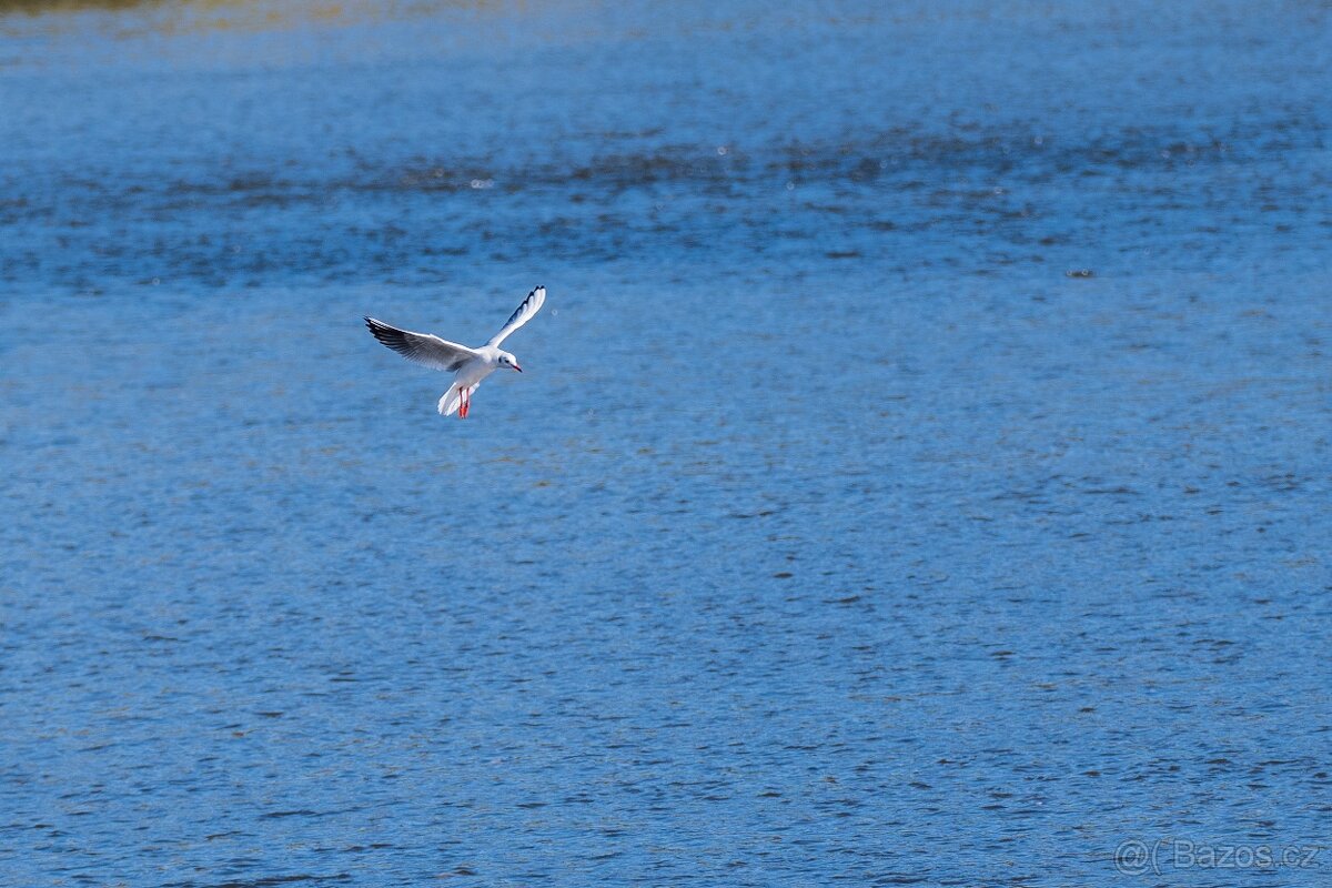 Panasonic Lumix S1 + 24/105mm - 12