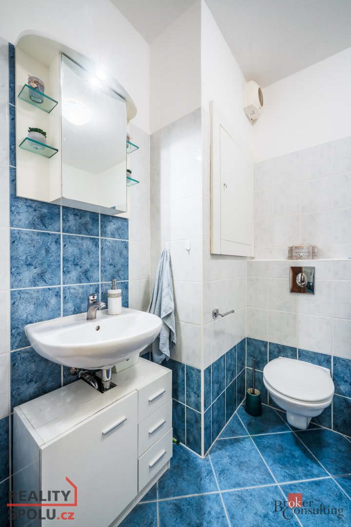 Prodej, byty/1+kk, 87 m2, Holzova, Líšeň, 62800 Brno-Líšeň [ - 12