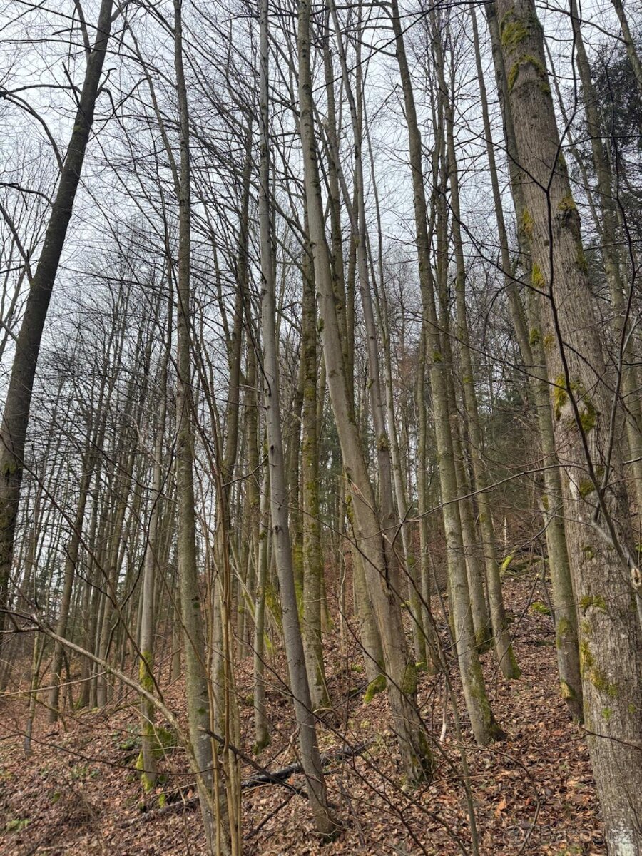 Prodej pozemků k.ú. Huslenky (3) - 12