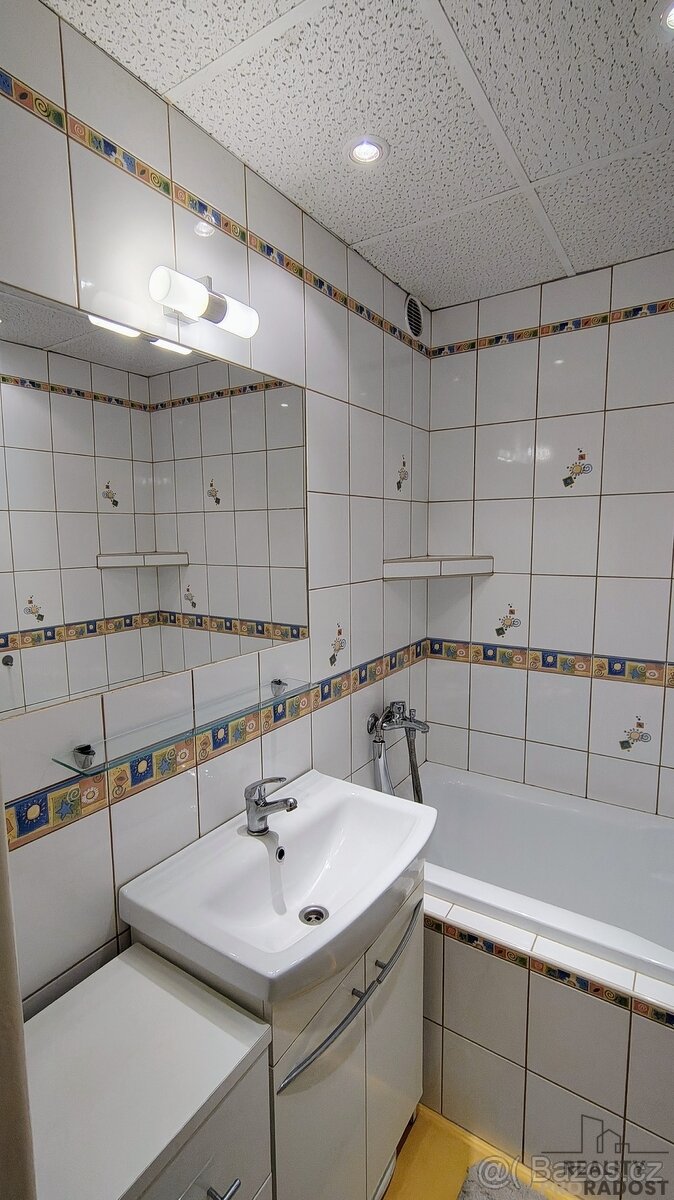prodej bytu 4+1 - 12