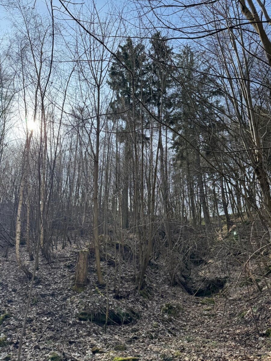 Prodám pozemky v katastrálním území Louňovice pod Blaníkem - 12