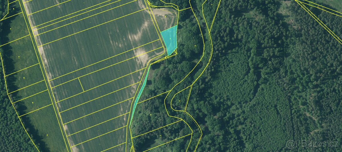 Prodám pozemky v k. ú. Holičky u Staré Hlíny - 12