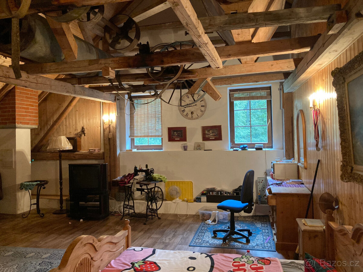 Půvabný mlýn s rybníky, lesy, pastvinami, 5 apartmanů - 12