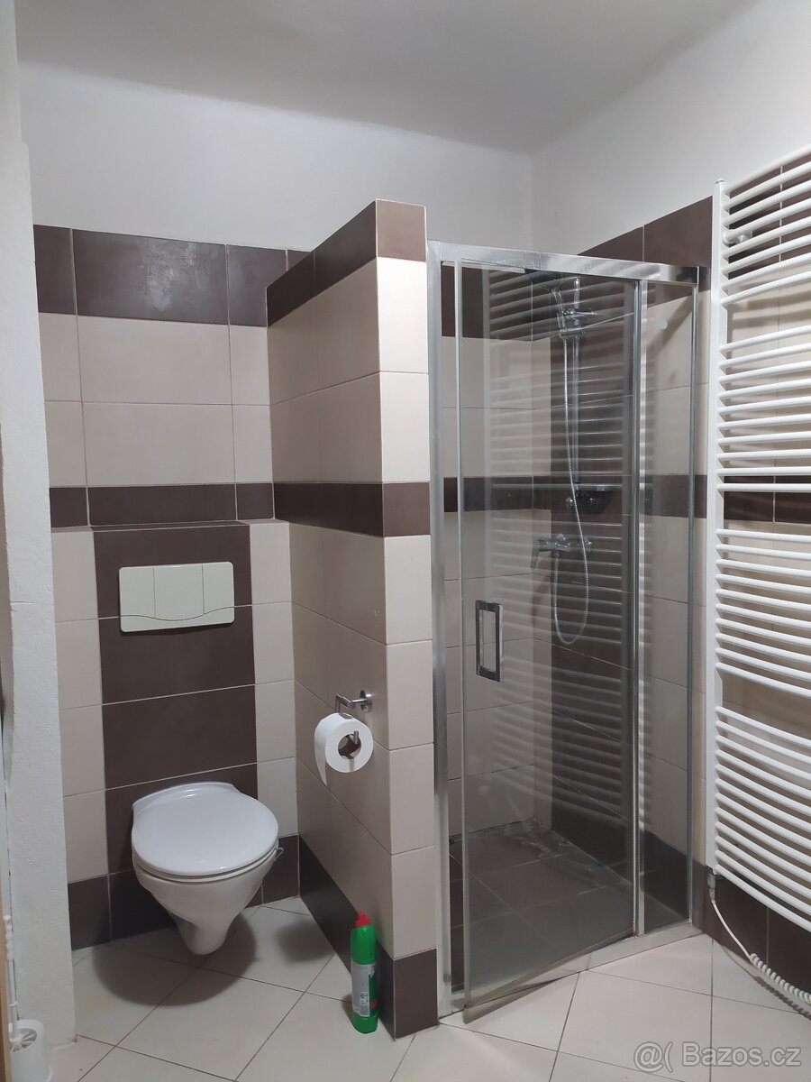 PRONÁJEM BYTU V RODINNÉM DOMĚ V KNĚŽPOLI (UH) - 12