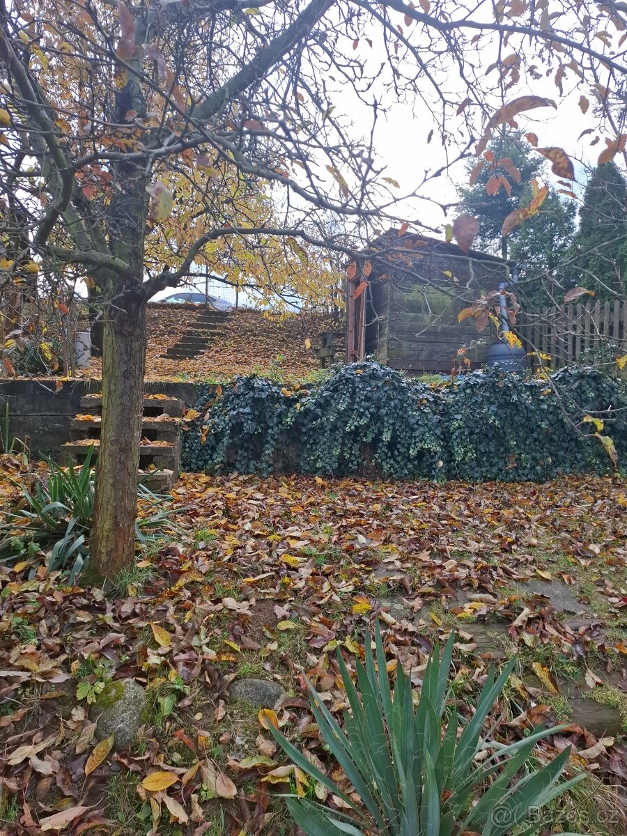 Rekreační chata v Držovicích, 35m2, pozemek 333 m2 - 12