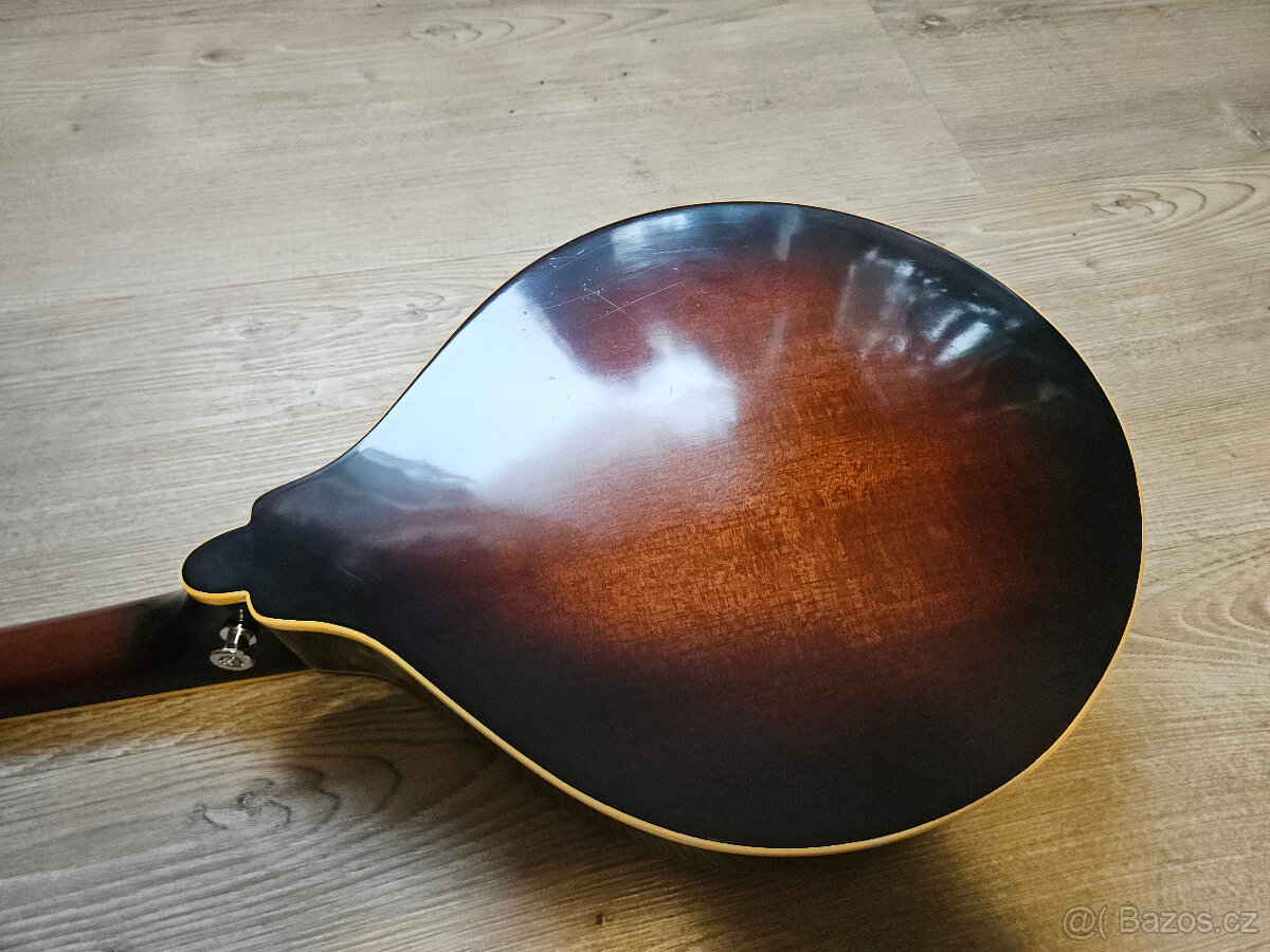 Celomasivní mandolína FURCH Ma-2 typ A - 12