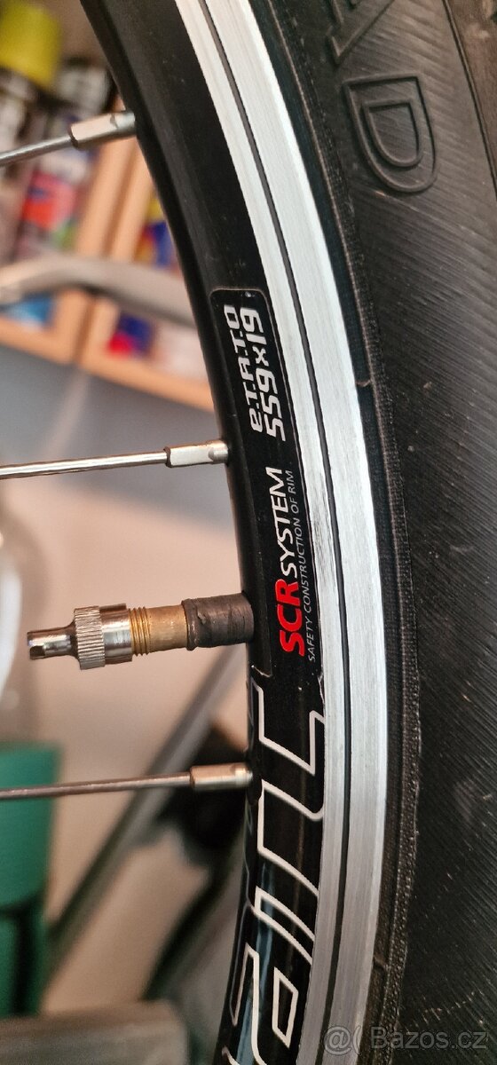 Kellys Salamander XC Cross Country - 12