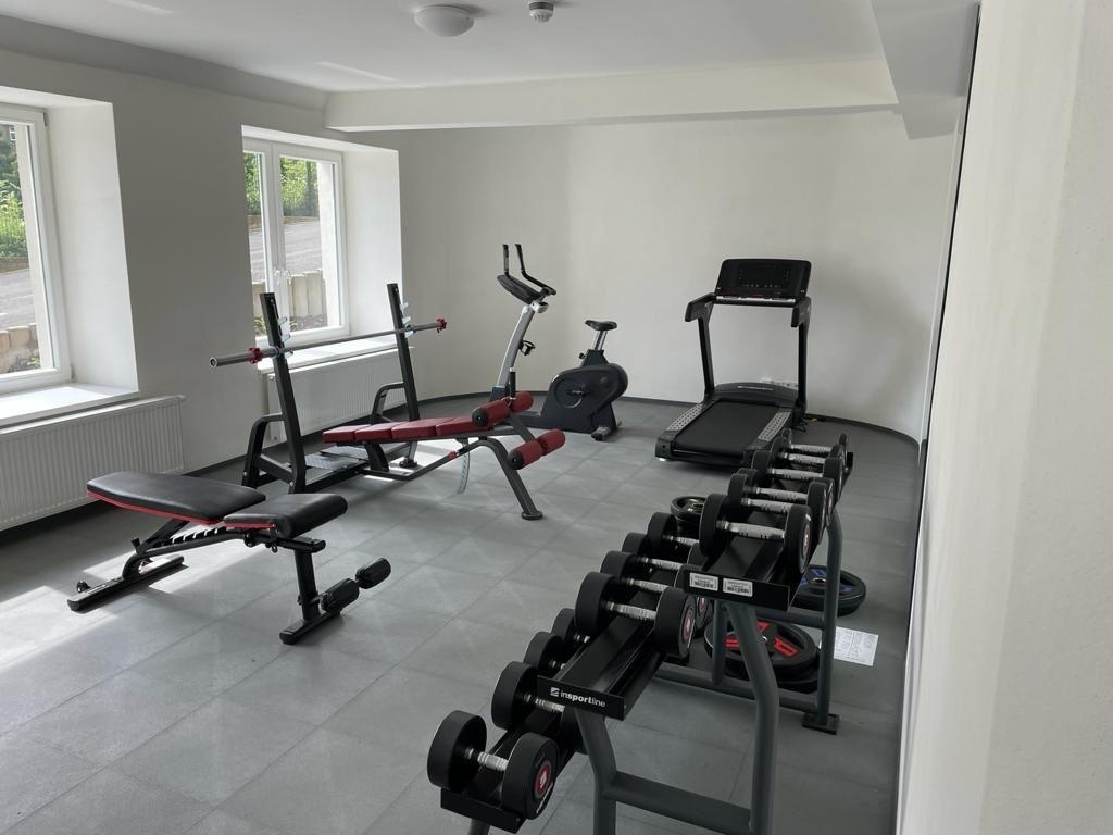 krásný byt 2+KK, 45m2 v ul. Perucká, Praha 2 - Vinohrady - 12