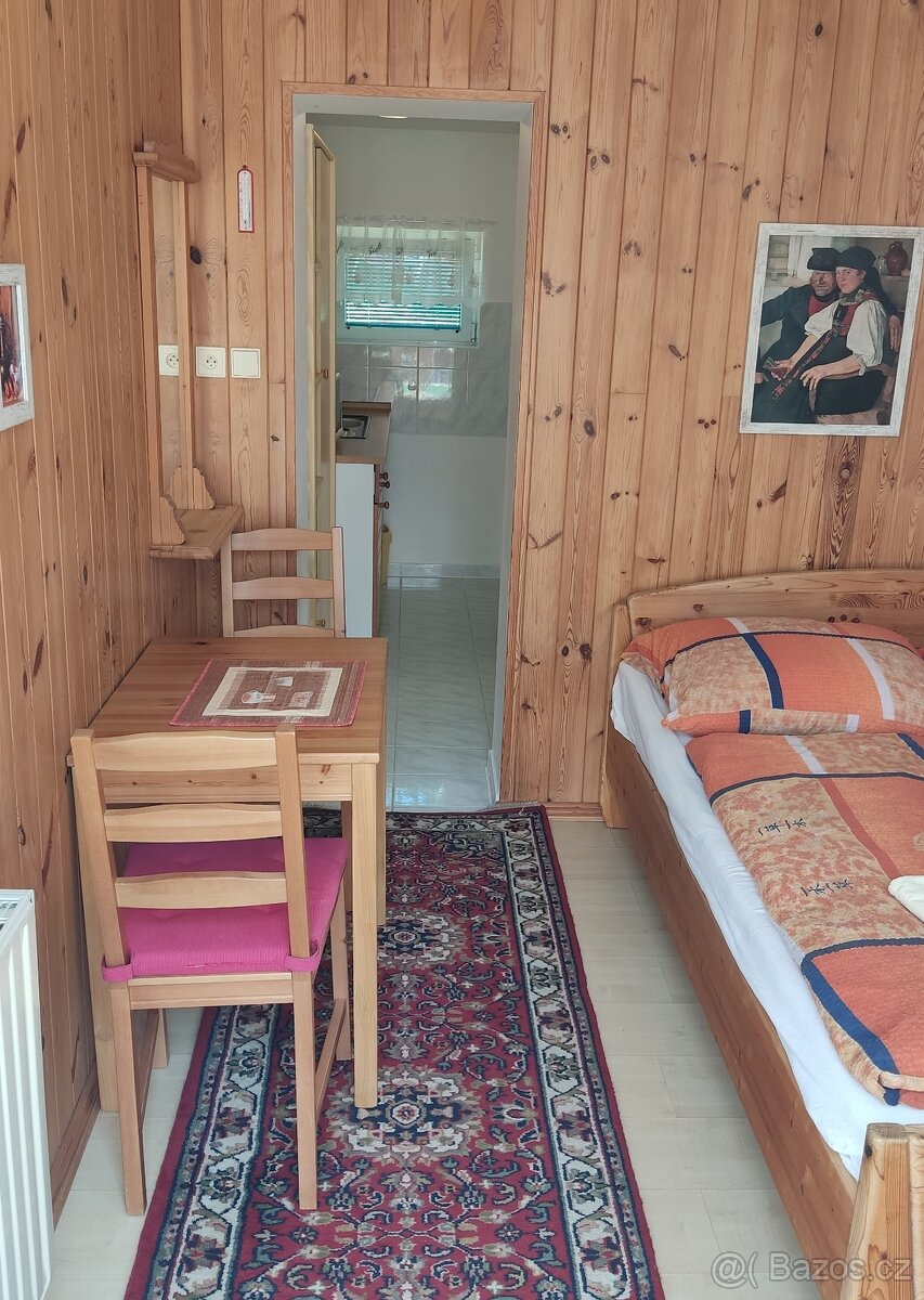 Pronájem Apartmánů Vranov nad Dyjí - 12