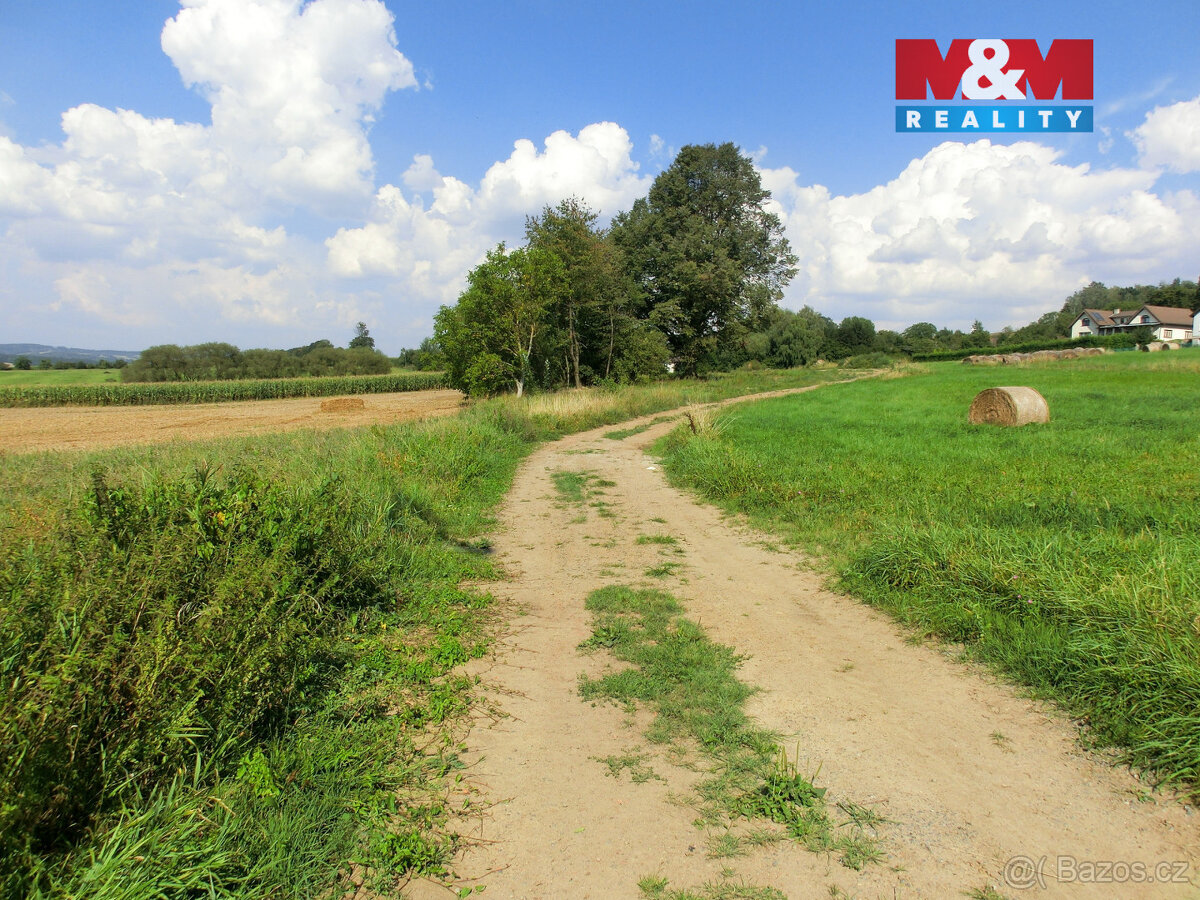 Prodej pozemku, 3885 m², Radenín - 12