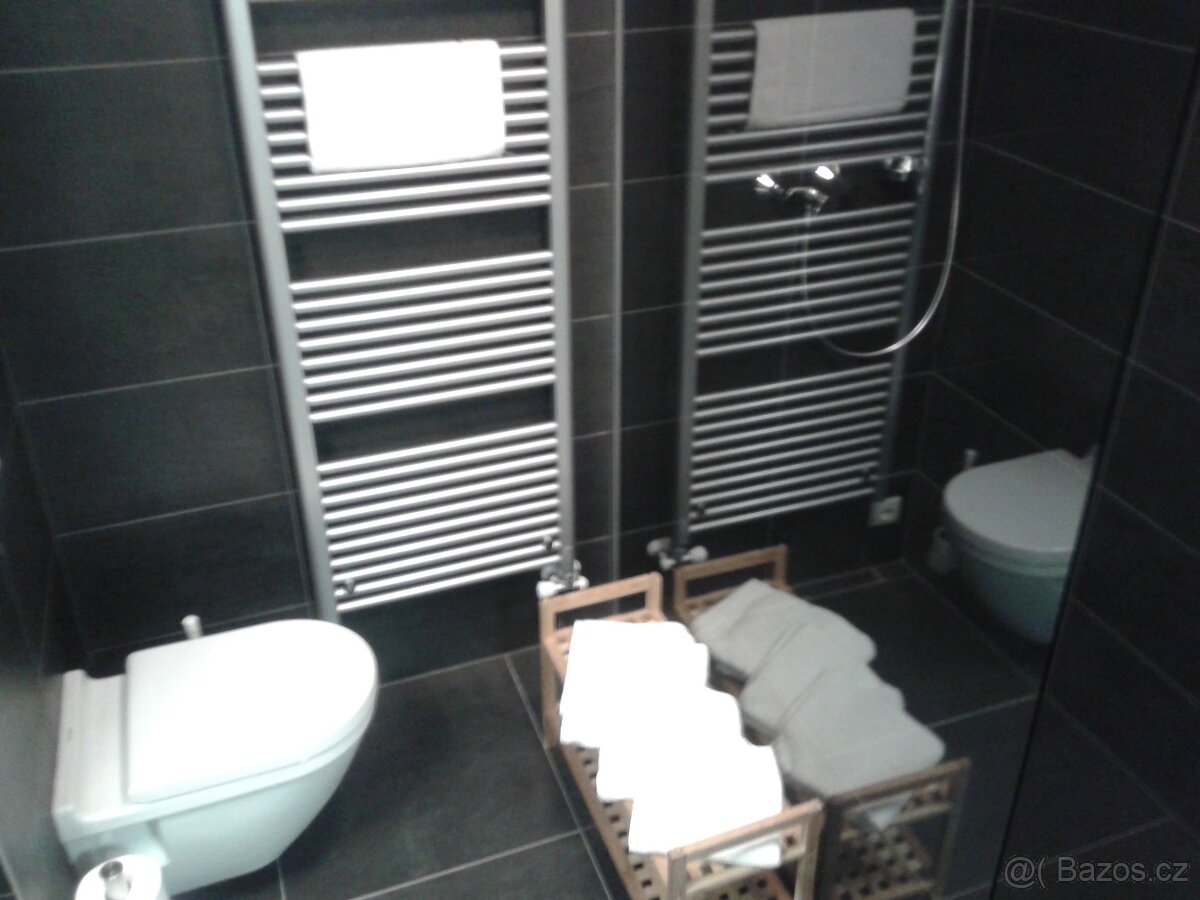 Rezidence Kovárna - 12