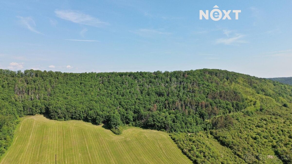 Prodej pozemek Lesy, 3149㎡ - 12