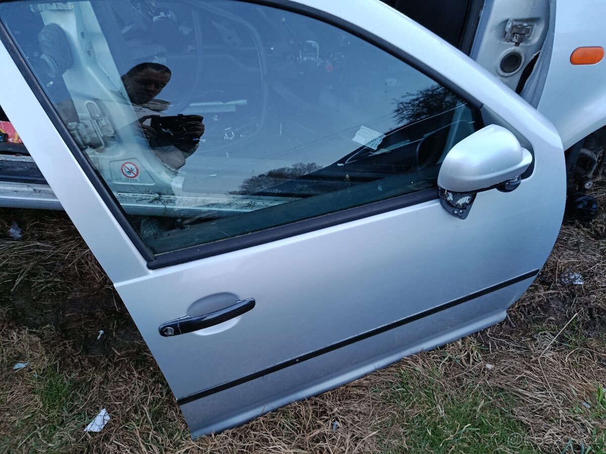 Dveře stříbrný golf 4 - 12