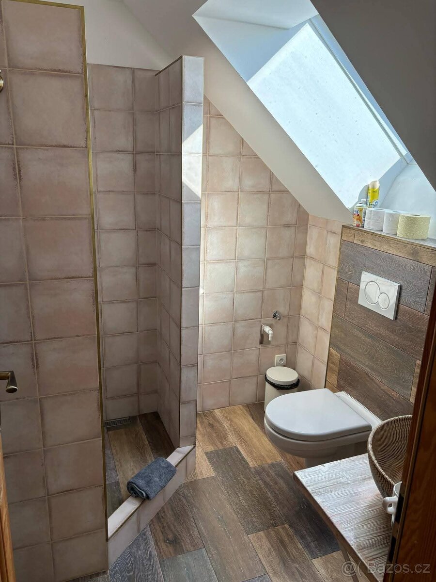 Pronájem bytu 2+1 70m - 12