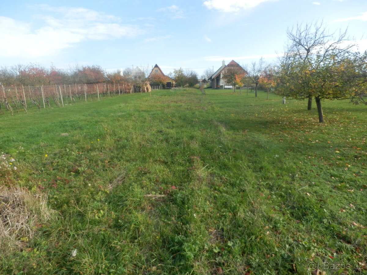 Predám vinohradnícky domček s pozemkom v Skalici na Slovensk - 12
