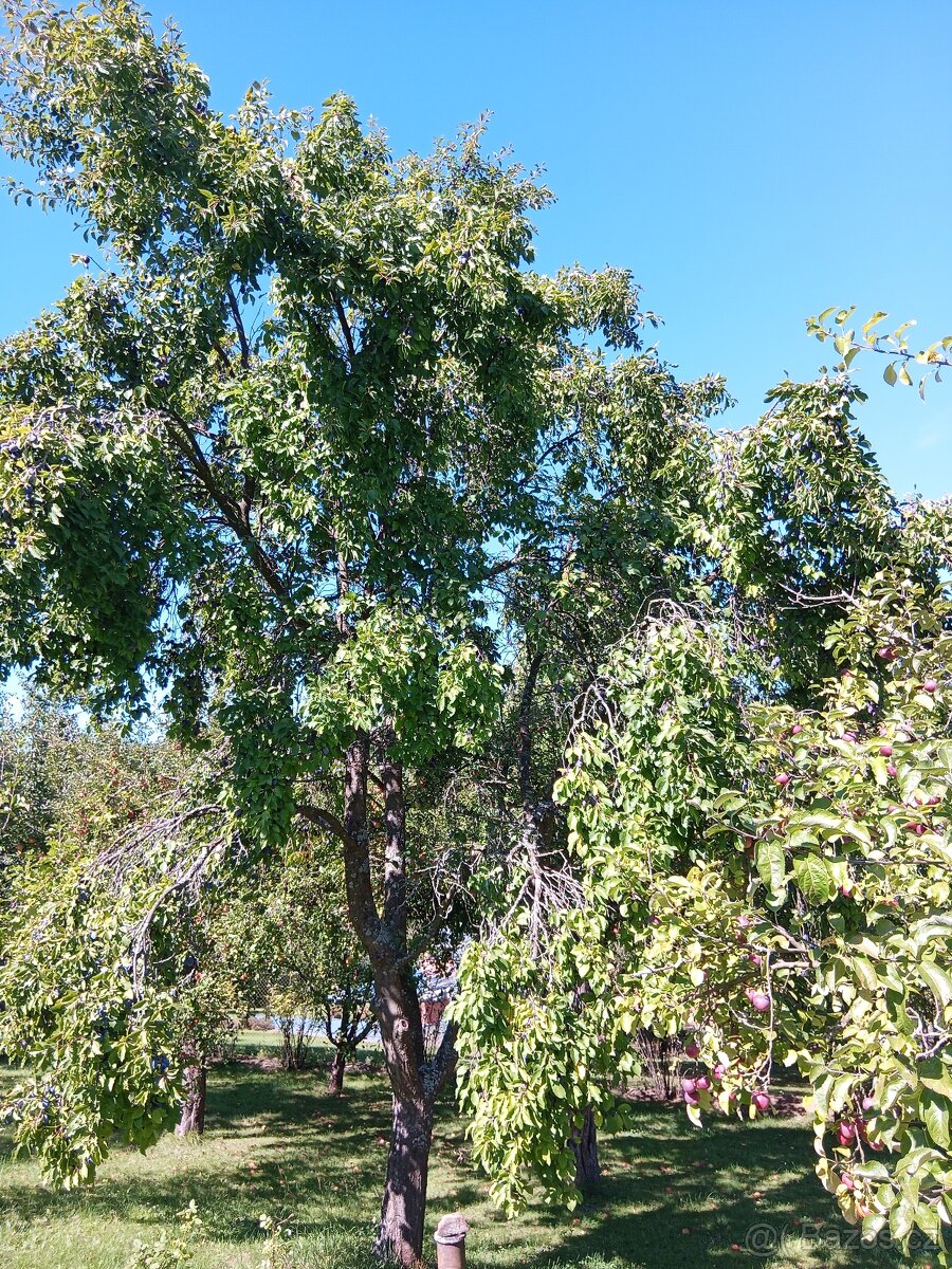 Prodám stavební parcelu - 12