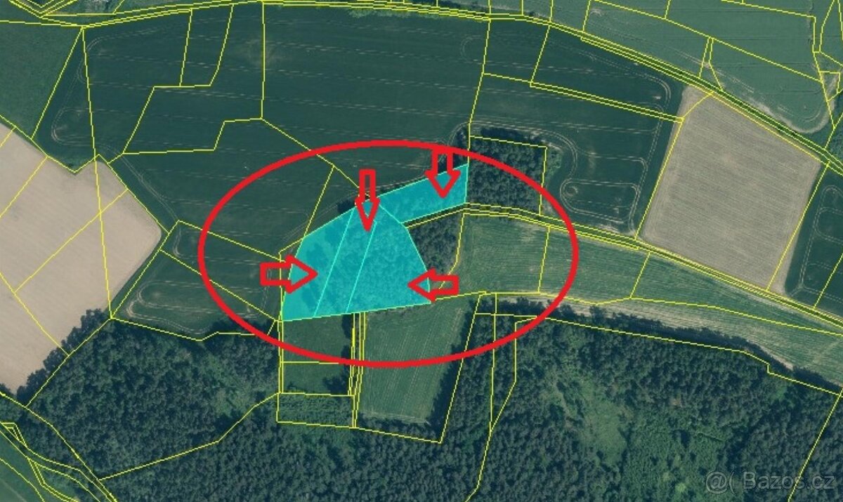 Prodej lesních pozemků v k.ú. Volenice - 12