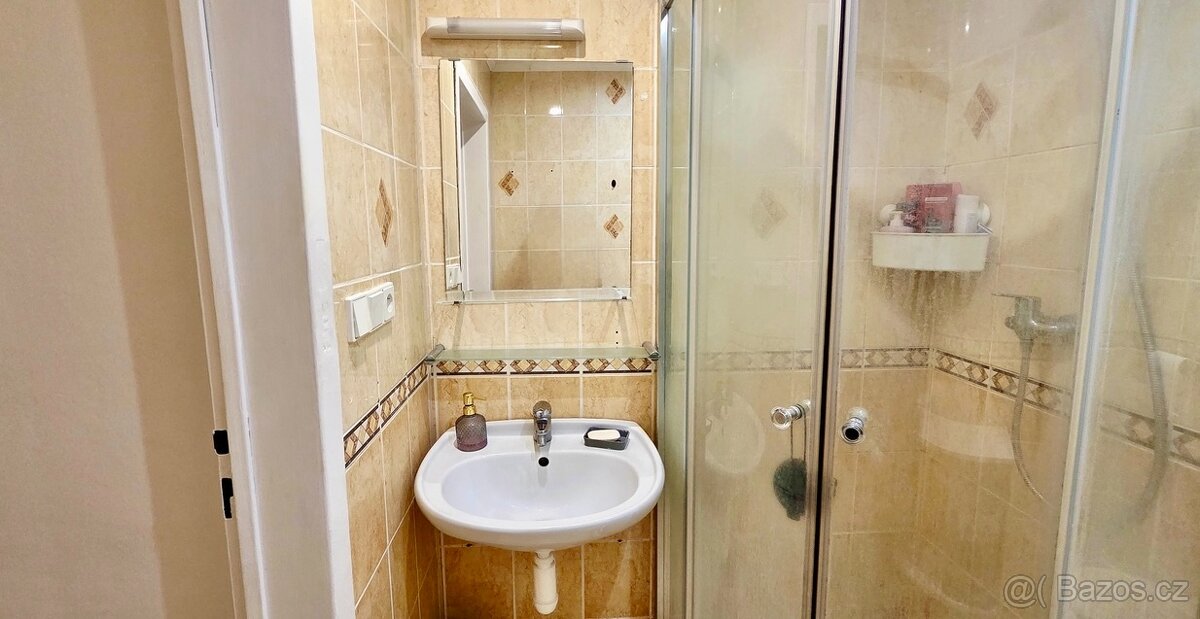 Pronájem 2+1 Na Valtické - 12